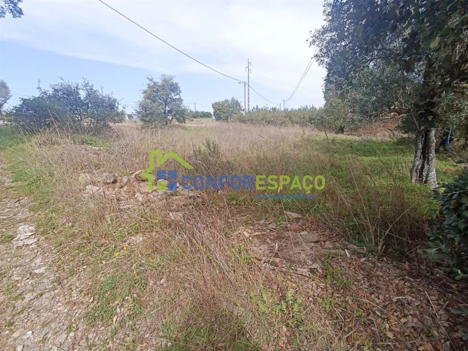 Terreno para Venda em Aldeia do Bispo, Águas e Aldeia de João Pires Foto 12