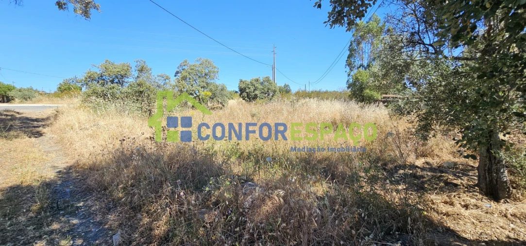 Terreno para Venda em Aldeia do Bispo, Águas e Aldeia de João Pires Foto 21