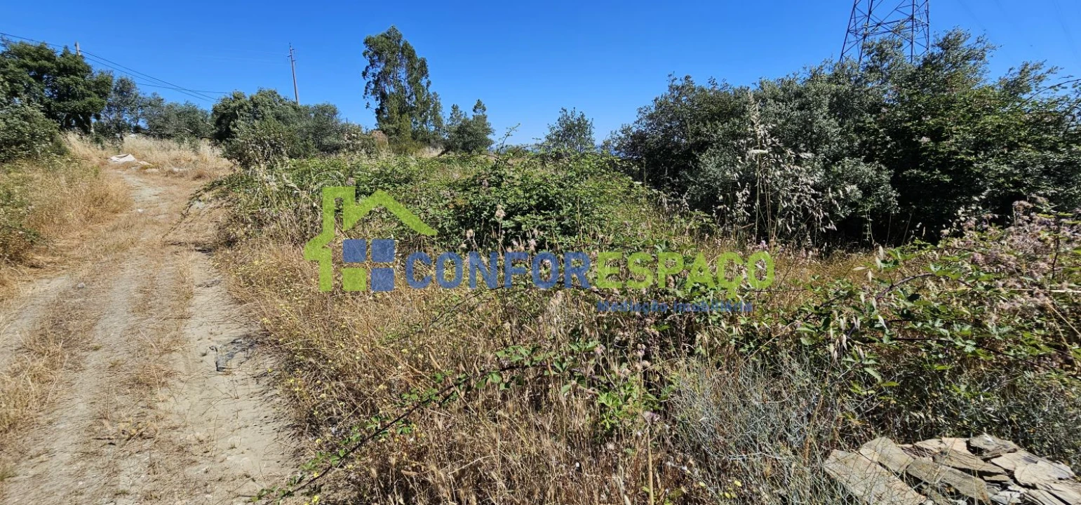 Terreno para Venda em Aldeia do Bispo, Águas e Aldeia de João Pires Foto 22