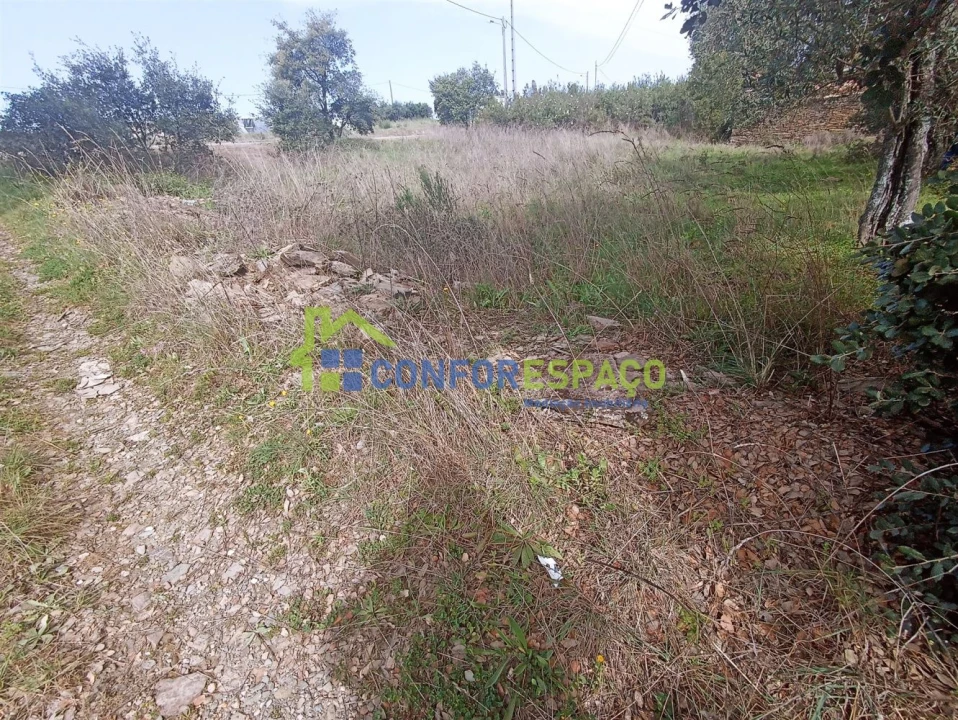 Terreno para Venda em Aldeia do Bispo, Águas e Aldeia de João Pires Foto 11