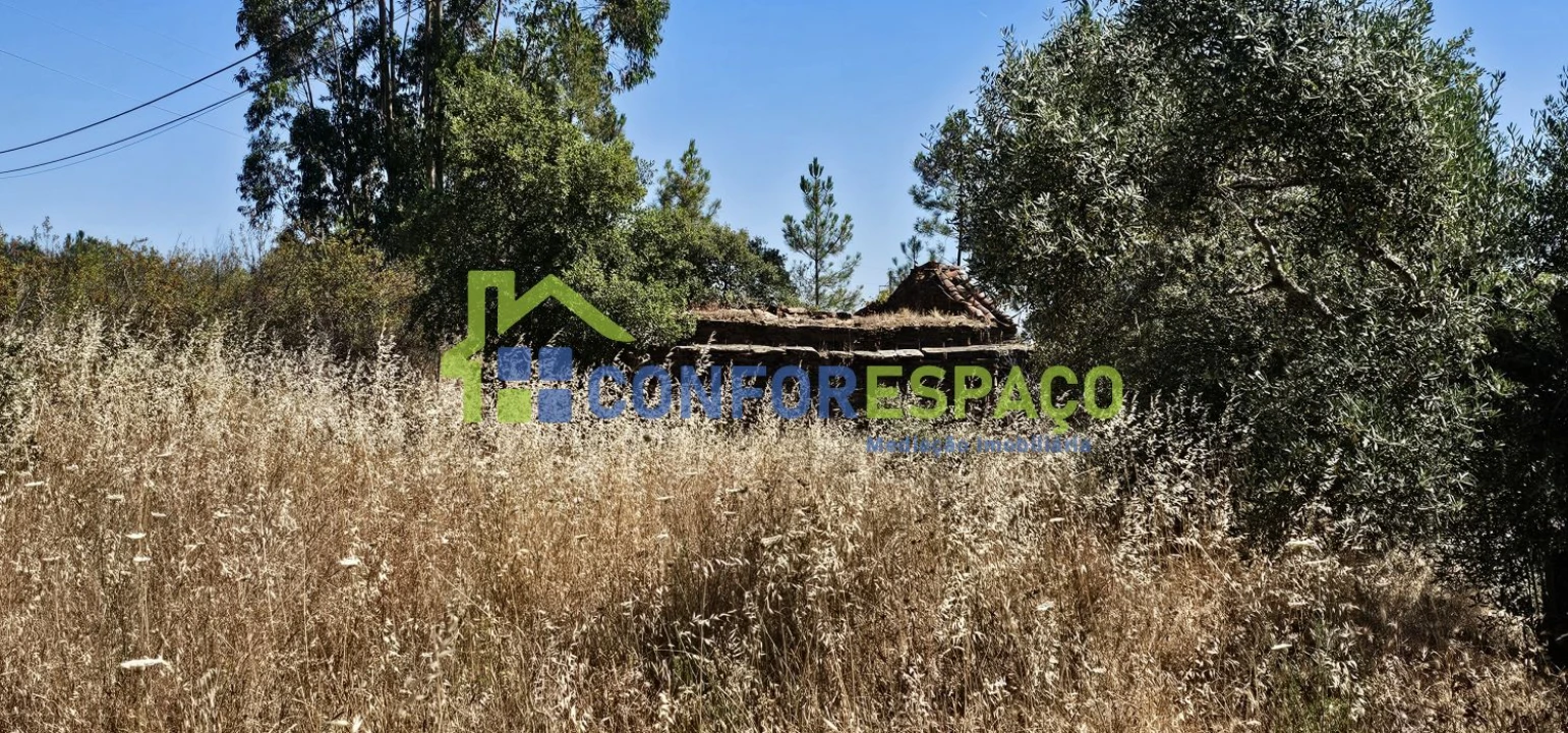 Terreno para Venda em Aldeia do Bispo, Águas e Aldeia de João Pires Foto 15