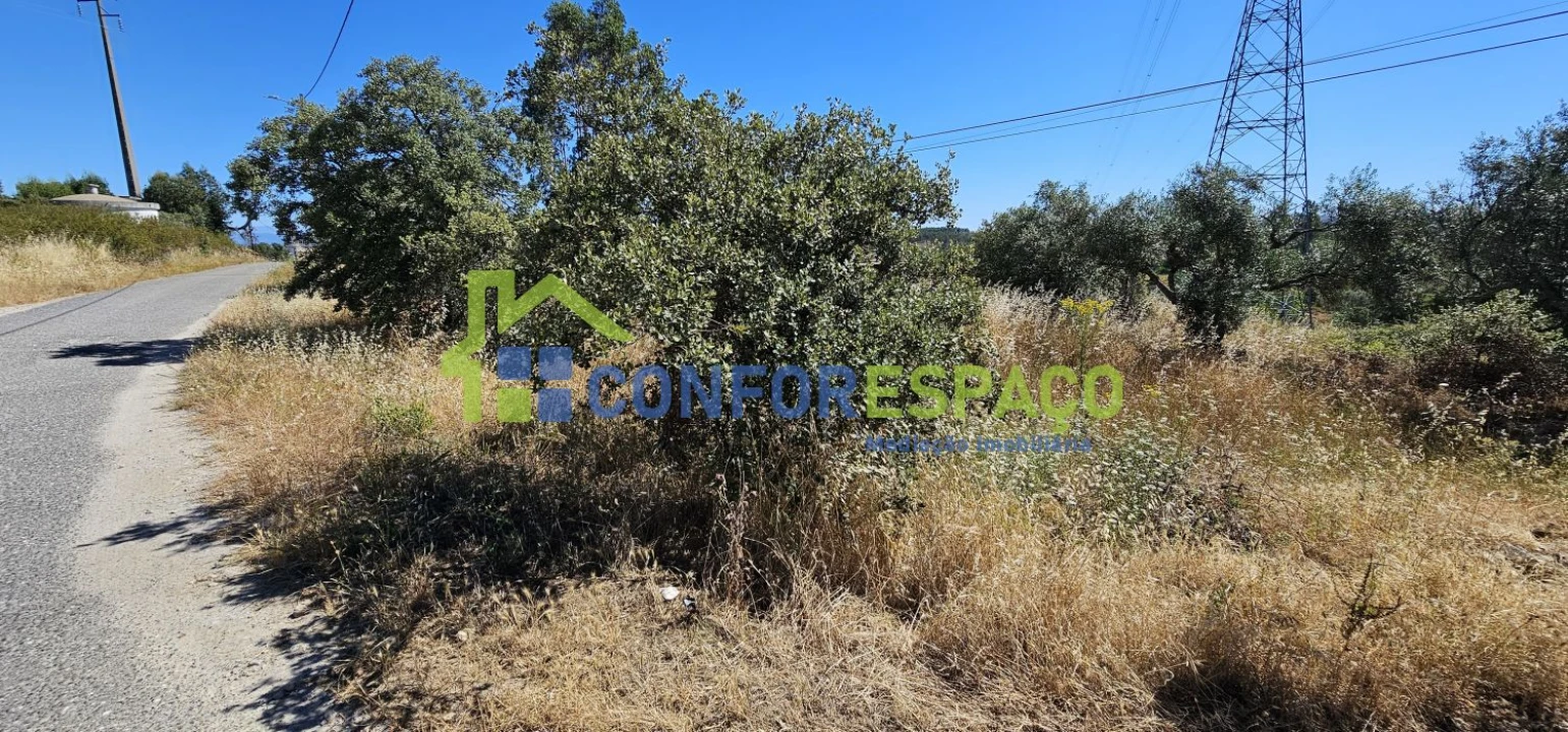 Terreno para Venda em Aldeia do Bispo, Águas e Aldeia de João Pires Foto 6