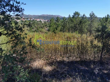 Terreno para Venda em São Vicente da Beira