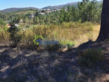 Terreno para Venda em São Vicente da Beira