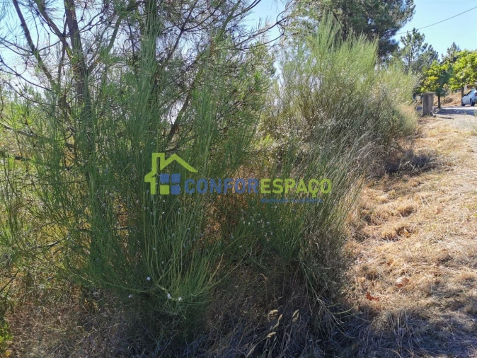 Terreno para Venda em São Vicente da Beira Foto 5