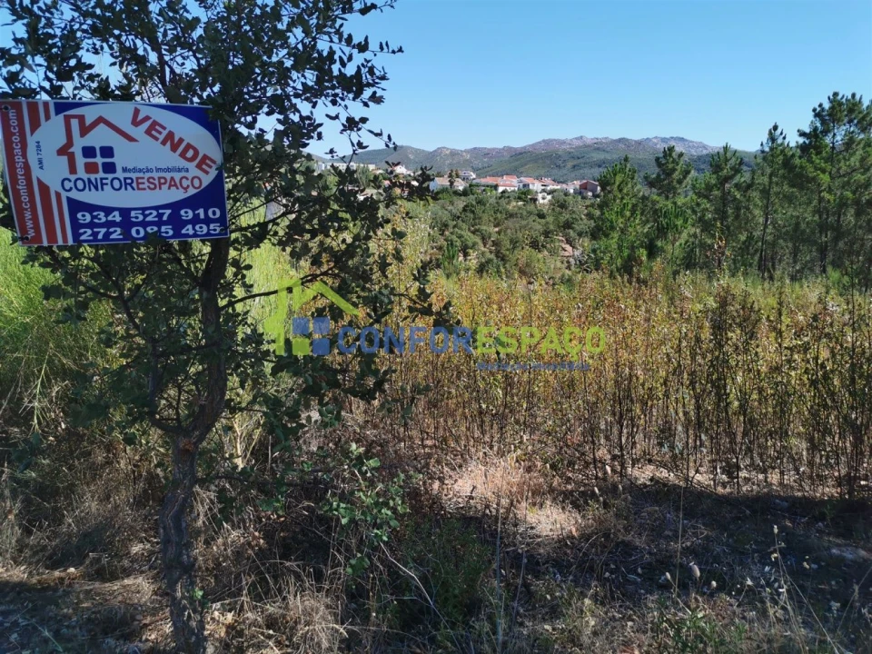 Terreno para Venda em São Vicente da Beira Foto 8