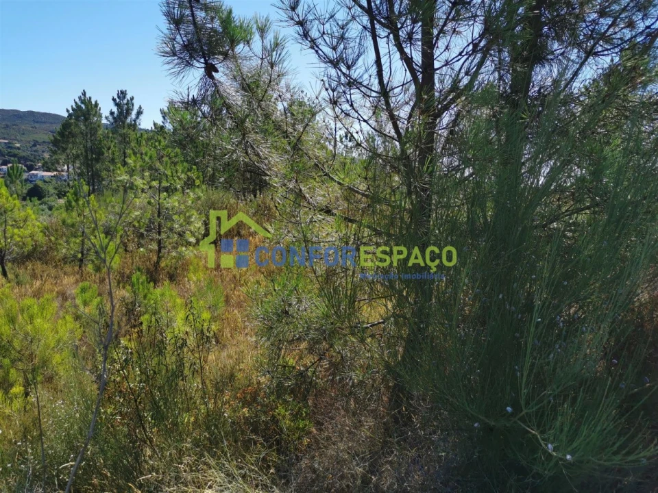 Terreno para Venda em São Vicente da Beira Foto 4