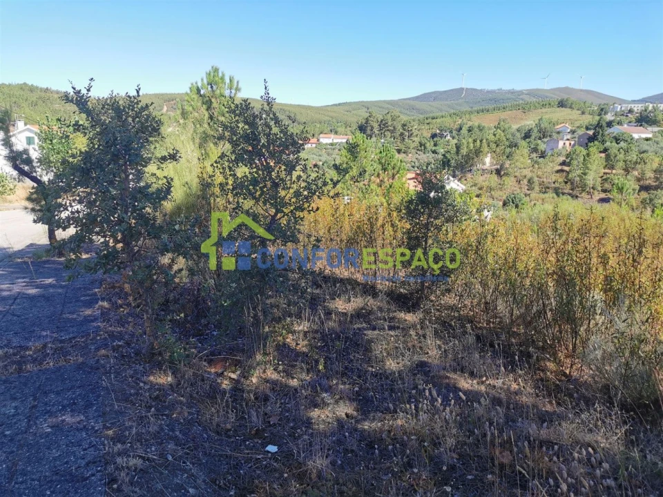 Terreno para Venda em São Vicente da Beira Foto 2