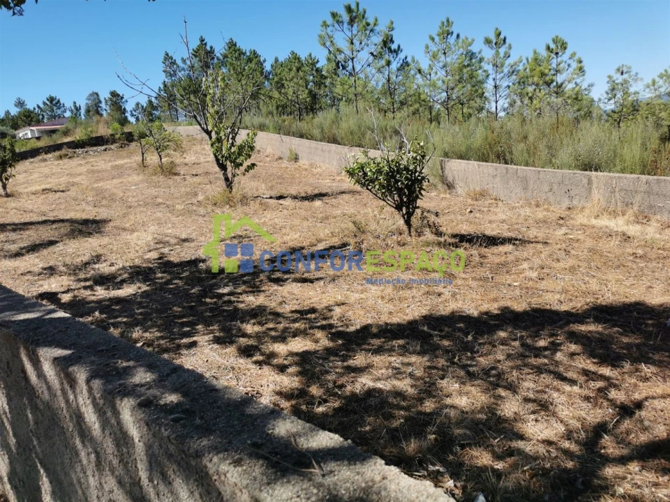 Terreno para Venda em São Vicente da Beira Foto 3