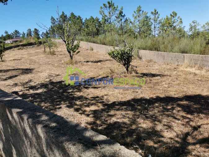 Terreno para Venda em São Vicente da Beira Foto 3