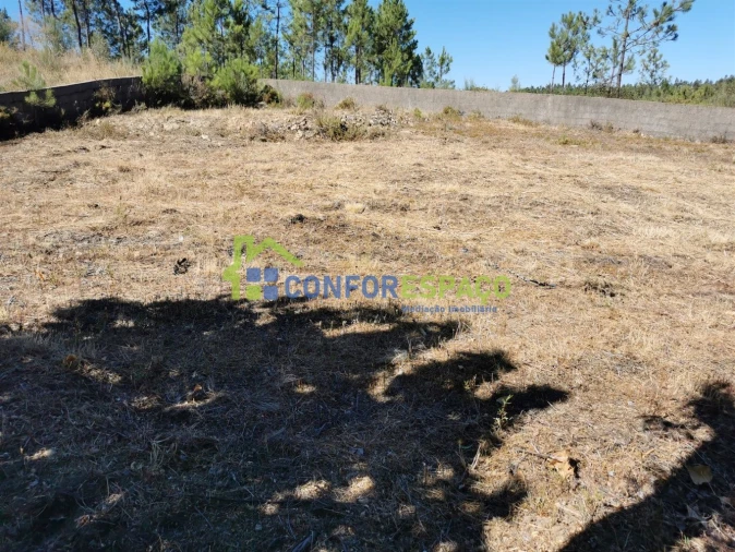 Terreno para Venda em São Vicente da Beira Foto 4