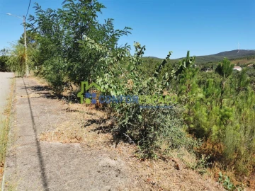 Terreno para Venda em São Vicente da Beira