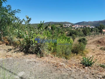 Terreno para Venda em São Vicente da Beira