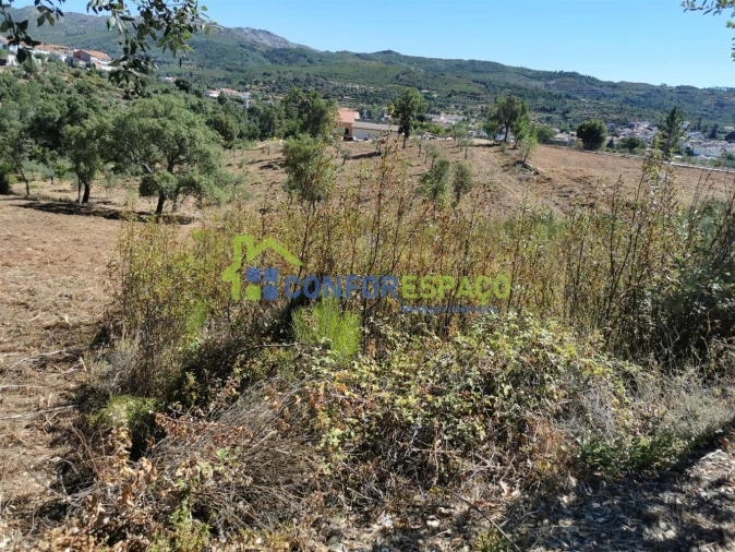 Terreno para Venda em São Vicente da Beira Foto 5