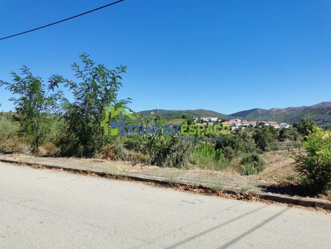 Terreno para Venda em São Vicente da Beira Foto 2