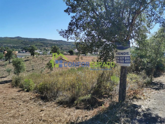 Terreno para Venda em São Vicente da Beira