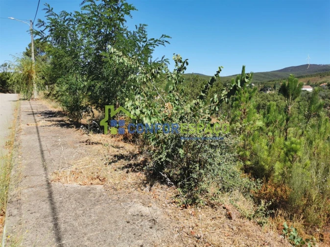 Terreno para Venda em São Vicente da Beira Foto 10