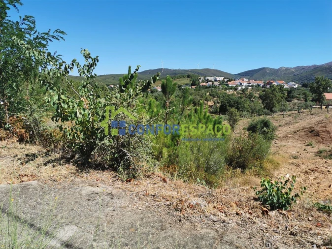 Terreno para Venda em São Vicente da Beira Foto 7