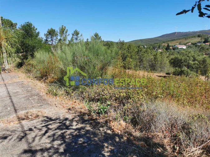 Terreno para Venda em São Vicente da Beira Foto 11