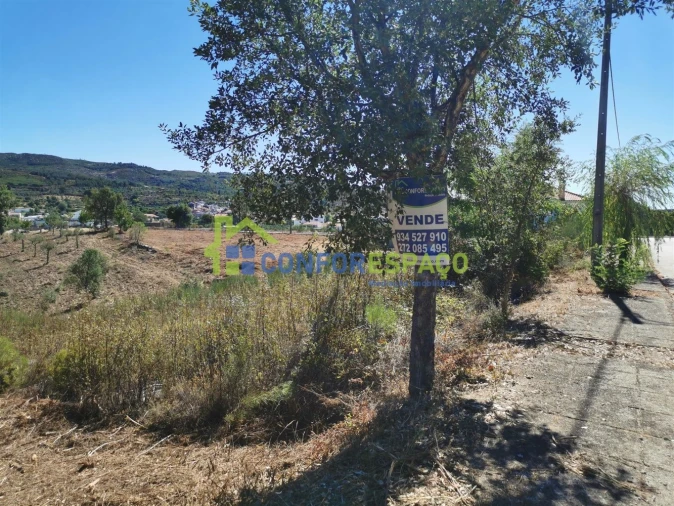 Terreno para Venda em São Vicente da Beira Foto 13