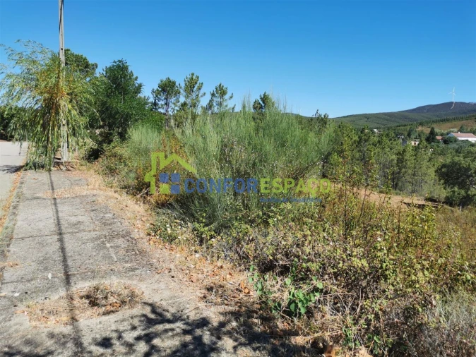 Terreno para Venda em São Vicente da Beira Foto 12
