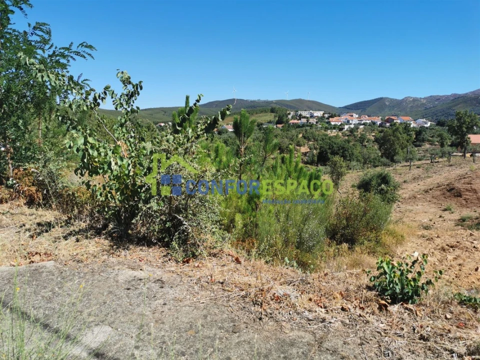 Terreno para Venda em São Vicente da Beira Foto 7