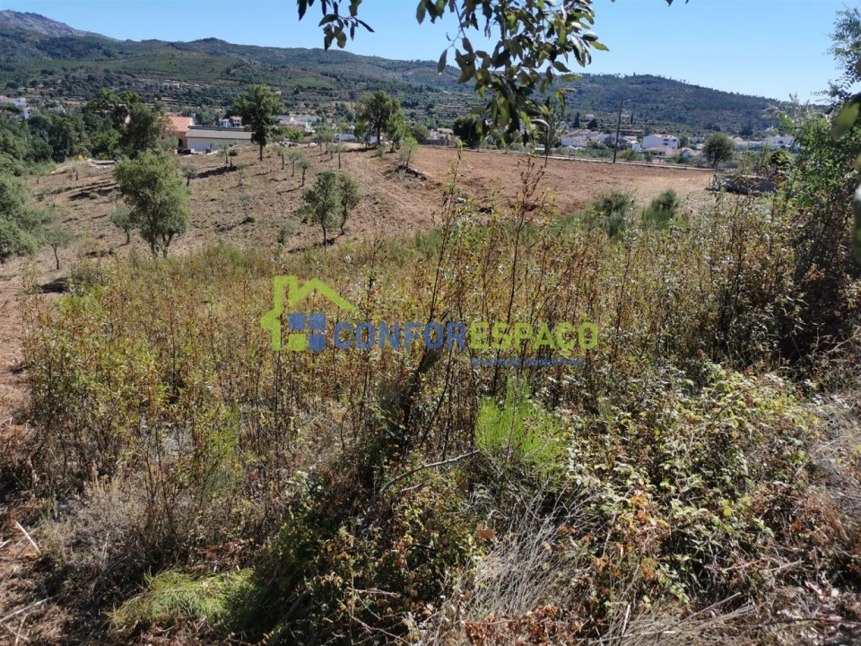 Terreno para Venda em São Vicente da Beira Foto 6