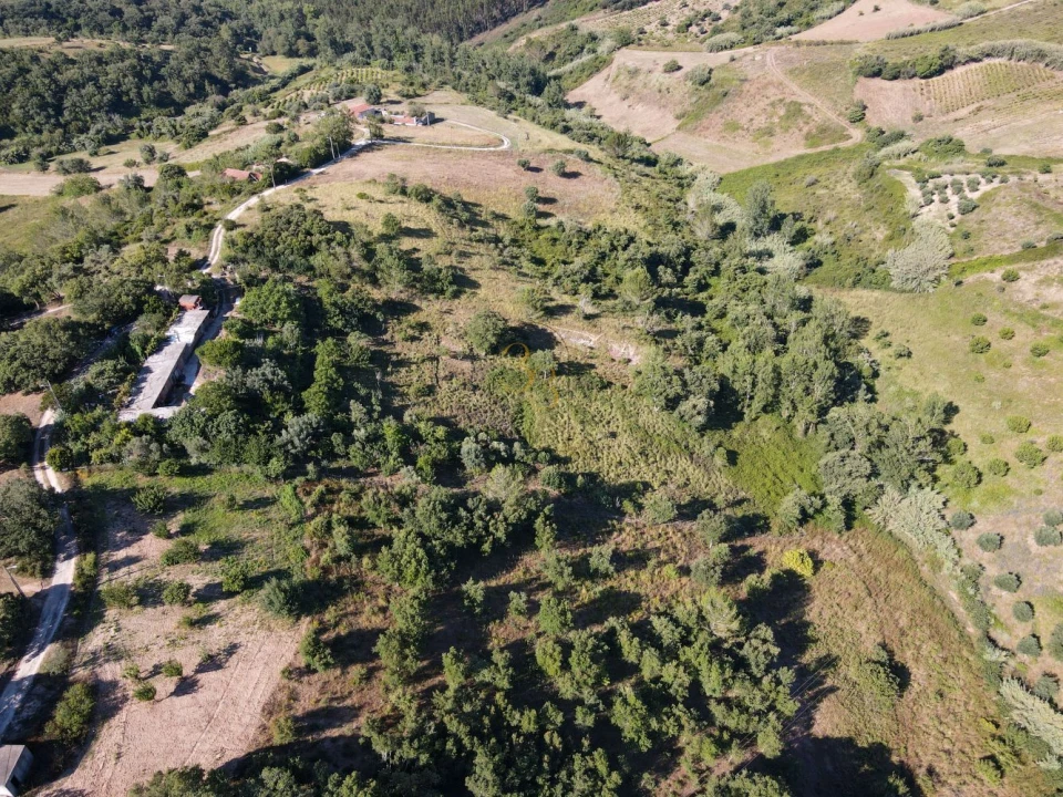 Terreno para Venda em Santiago dos Velhos Foto 13