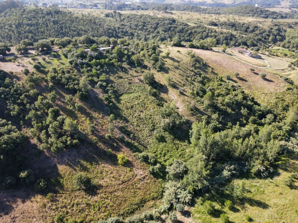 Terreno para Venda em Santiago dos Velhos Foto 10