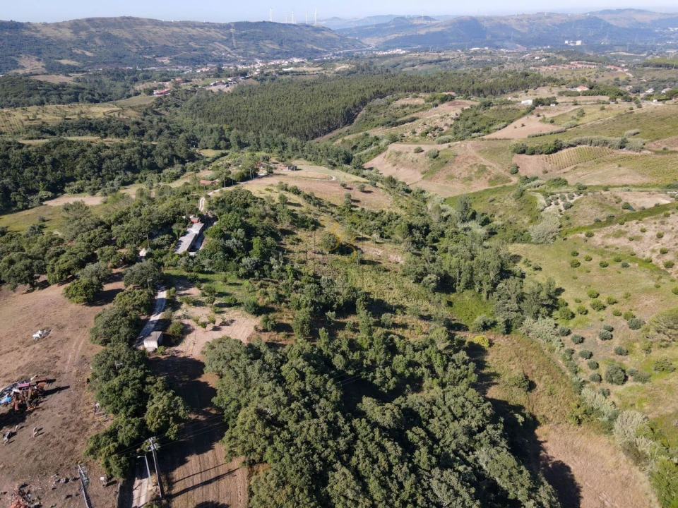 Terreno para Venda em Santiago dos Velhos Foto 14
