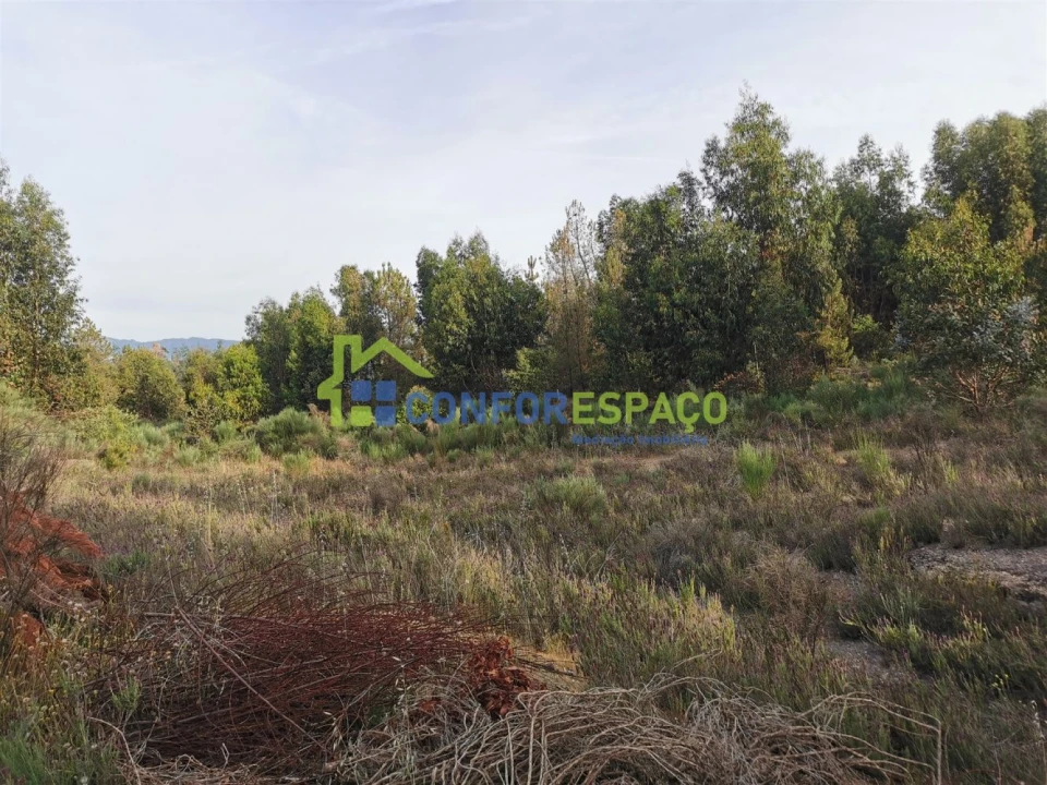 Terreno para Venda em Aldeia de Santa Margarida Foto 4