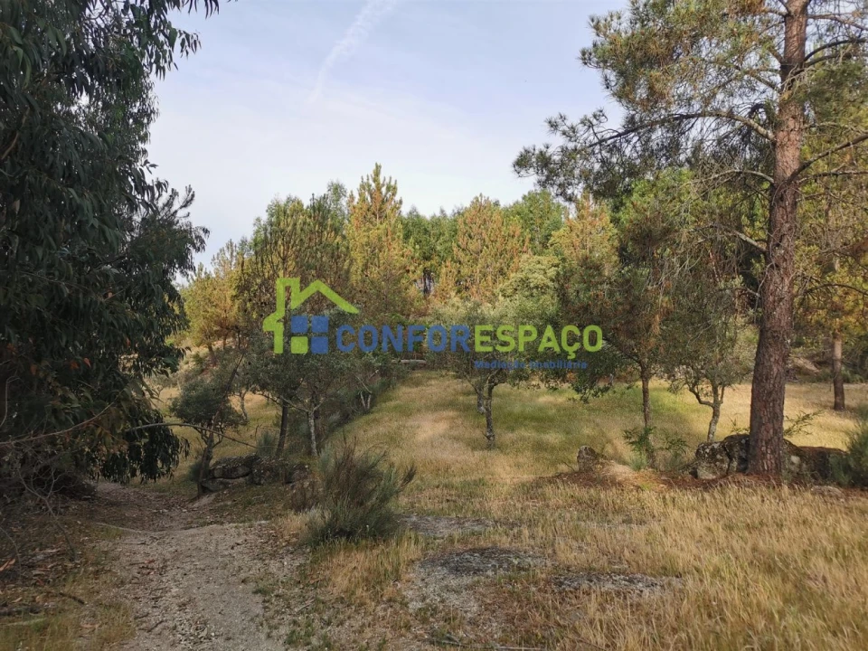 Terreno para Venda em Aldeia de Santa Margarida Foto 6