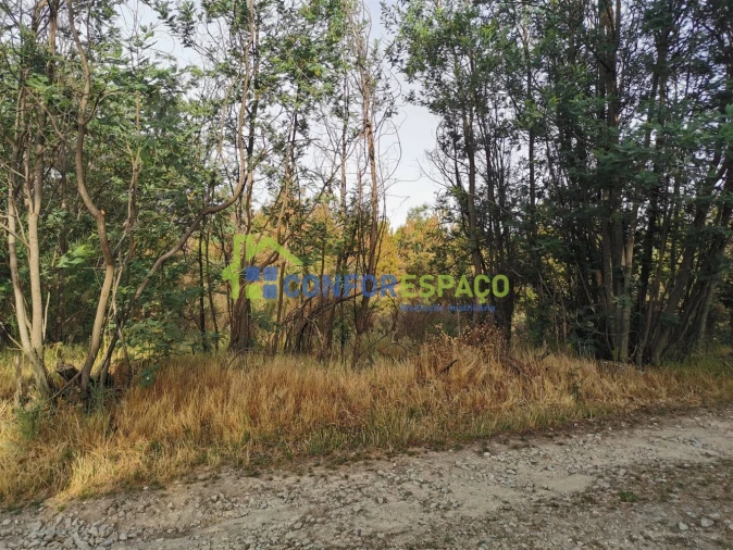 Terreno para Venda em Aldeia de Santa Margarida Foto 34