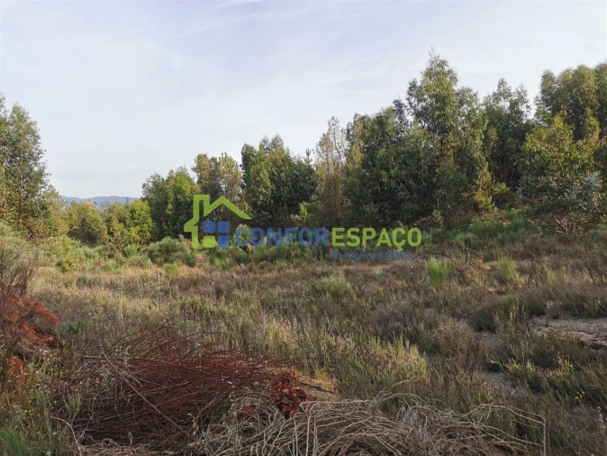 Terreno para Venda em Aldeia de Santa Margarida Foto 4
