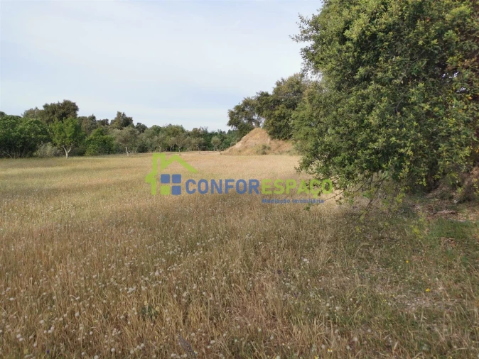 Terreno para Venda em Aldeia de Santa Margarida Foto 15