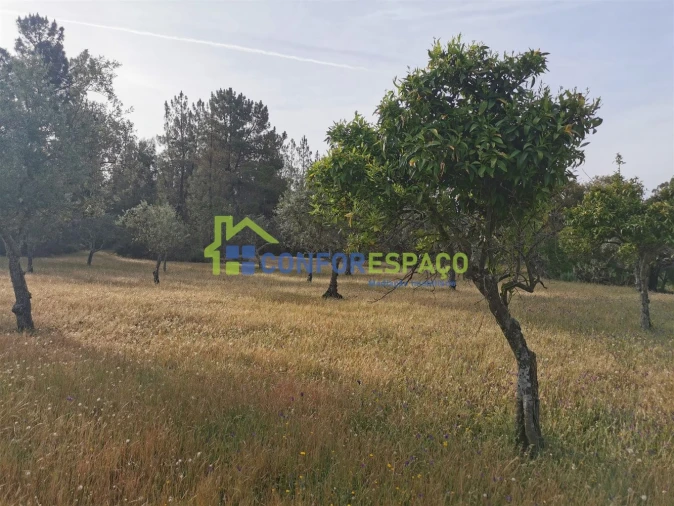 Terreno para Venda em Aldeia de Santa Margarida Foto 12