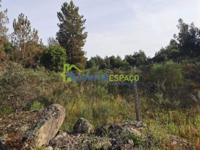 Terreno para Venda em Aldeia de Santa Margarida Foto 33