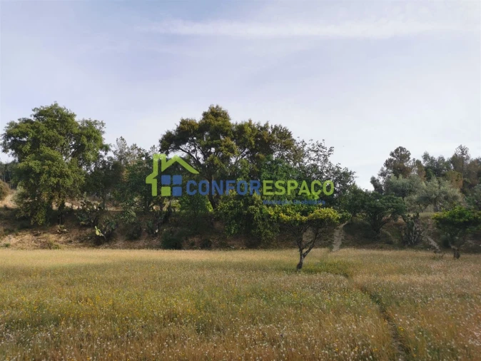 Terreno para Venda em Aldeia de Santa Margarida Foto 17