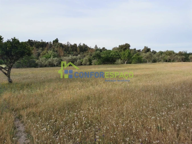 Terreno para Venda em Aldeia de Santa Margarida Foto 14