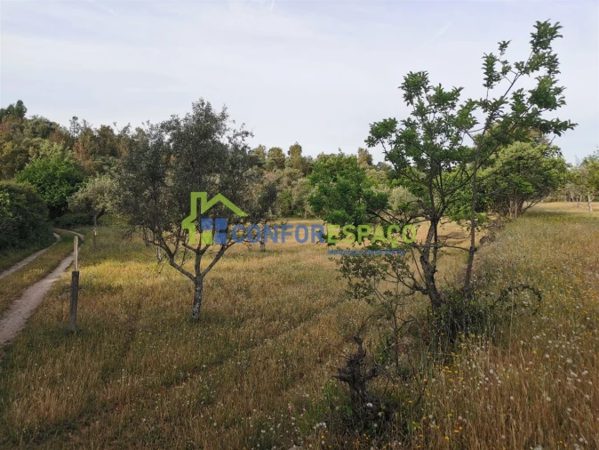 Terreno para Venda em Aldeia de Santa Margarida Foto 18