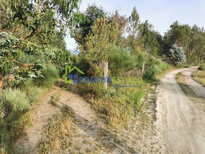 Terreno para Venda em Aldeia de Santa Margarida Foto 3