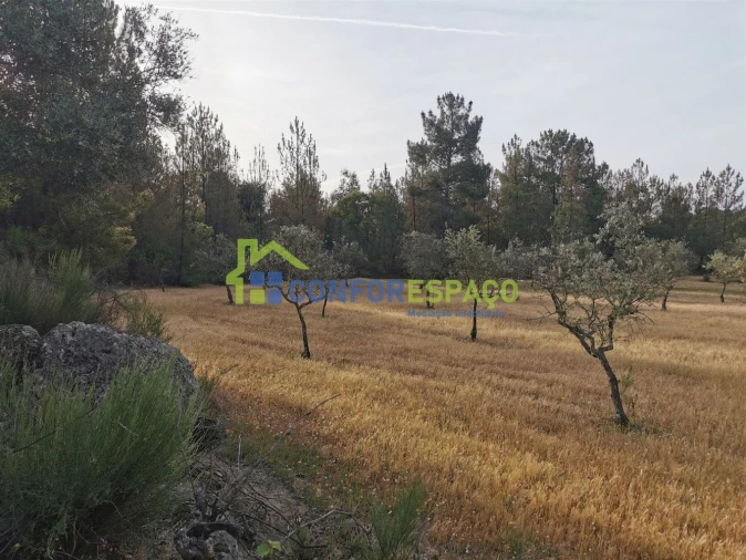 Terreno para Venda em Aldeia de Santa Margarida Foto 8