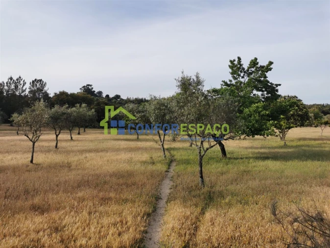 Terreno para Venda em Aldeia de Santa Margarida Foto 9