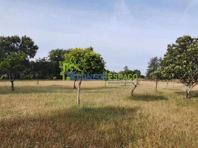 Terreno para Venda em Aldeia de Santa Margarida Foto 11