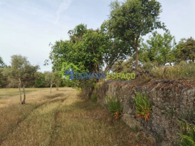 Terreno para Venda em Aldeia de Santa Margarida Foto 19