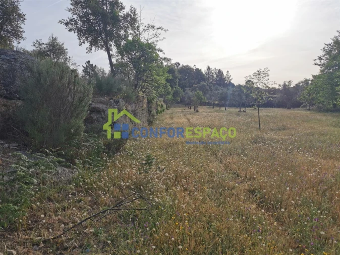 Terreno para Venda em Aldeia de Santa Margarida Foto 29