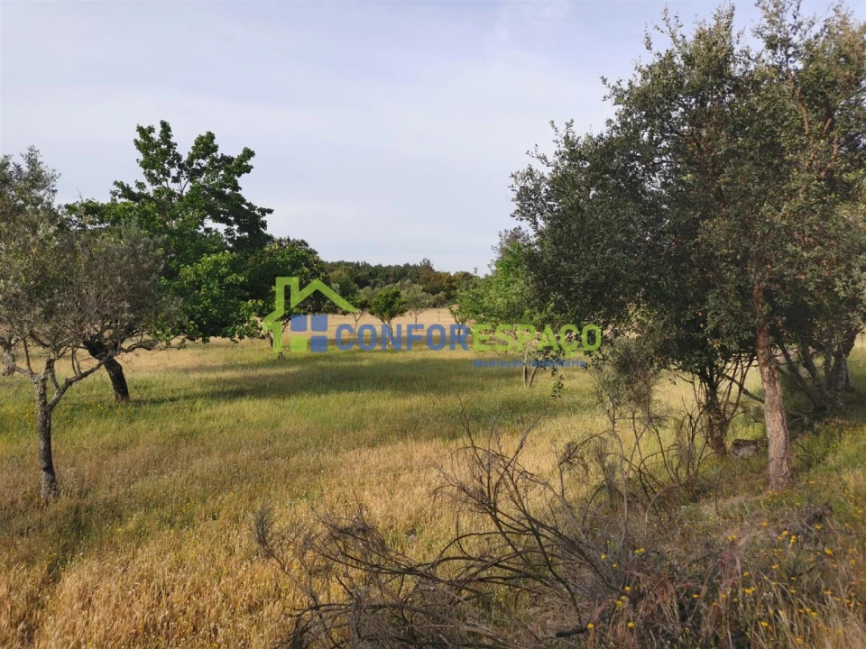 Terreno para Venda em Aldeia de Santa Margarida Foto 10