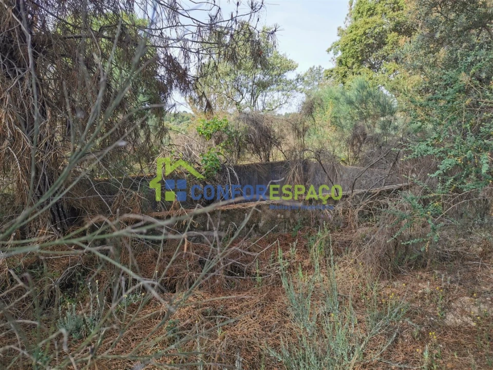 Terreno para Venda em Aldeia de Santa Margarida Foto 36