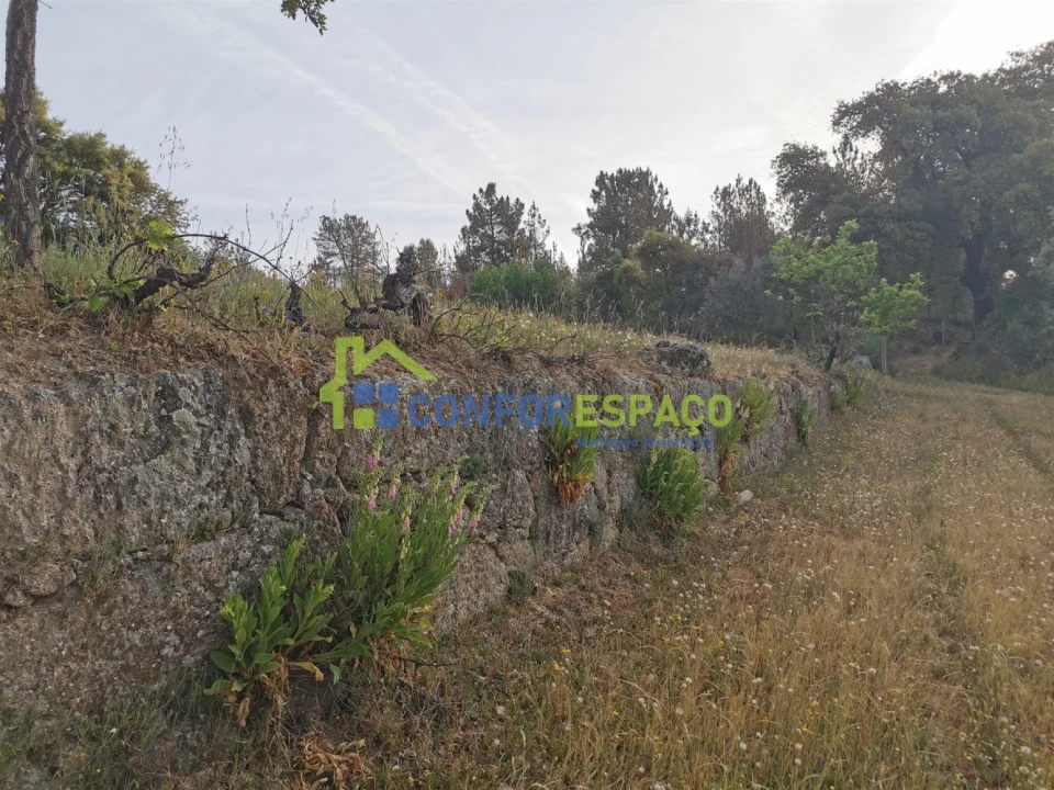 Terreno para Venda em Aldeia de Santa Margarida Foto 20