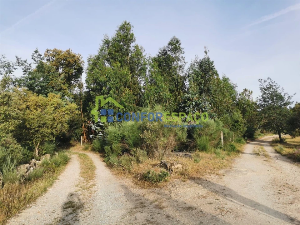 Terreno para Venda em Aldeia de Santa Margarida Foto 2